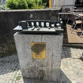 IMG 2445