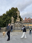 IMG 2920