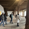 IMG 1692