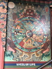 1540 IMG 2348 567x756