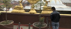 1543 IMG 2351 1008x420