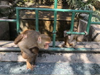 1594 IMG 2234 1008x756