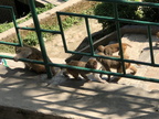 1596 IMG 2236 1008x756