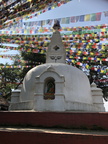 1602 IMG 2242 567x756
