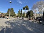 IMG 3295