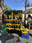 IMG 3874
