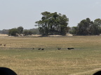 IMG 4624