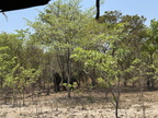 IMG 4622