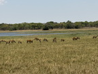 IMG 4621