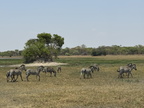 IMG 4618
