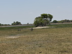 IMG 4617
