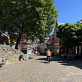 IMG 2557