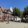 IMG 2566