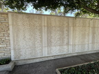 IMG 2710