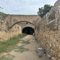 IMG 2618