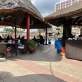 1249 IMG 3095 4032x3024