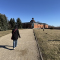 IMG 3766