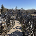 IMG 3765