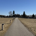 IMG 3763