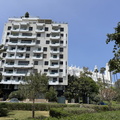 IMG 3948