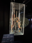 IMG 4225