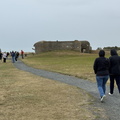 IMG 4302